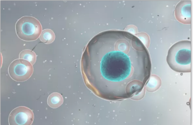 海藻酸钠-聚乙二醇-细胞穿膜肽