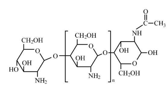 壳聚糖-多巴胺