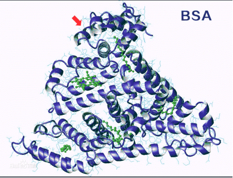 mannose-PEG-BSA