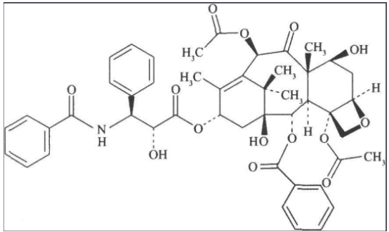 甘露糖-紫杉醇