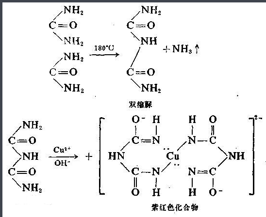 甘露糖-卵清蛋白