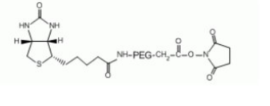 Biotin-PEG-NHS Biotin-PEG-NHS