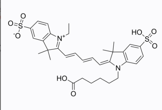 半乳糖-菁染料CY5