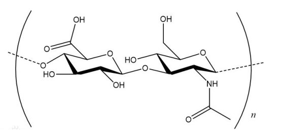 半乳糖-聚乙二醇-透明质酸