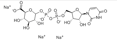 UDP-GlcA