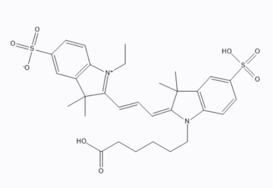 麦芽糖-荧光染料CY3