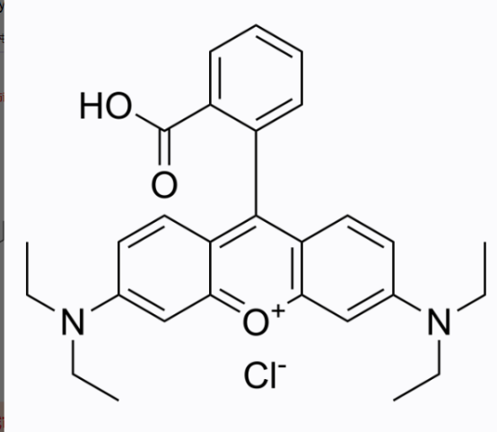 麦芽糖-罗丹明B