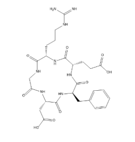 cyclo (Arg-Gly-Asp-d-Phe-Glu)