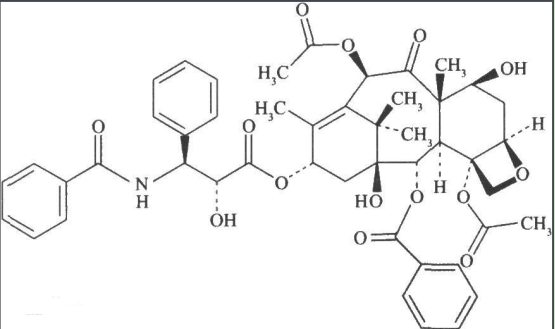 Paclitaxel-PEG-maltose