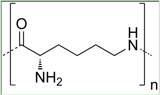 PLL-PEG-maltose