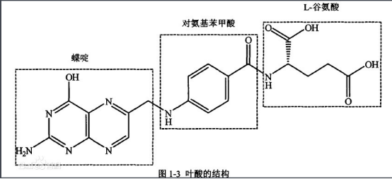 岩藻多糖-叶酸