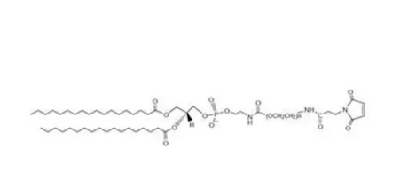 Maleimide-PEG-DSPE 磷脂-聚乙二醇-马来酰亚胺 DSPE-PEG-MAL