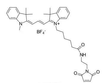 Sulfo CY3-马来酰亚胺 Cyanine3 MAL