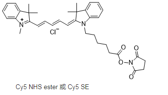 花菁染料CY5标记N-羟基琥珀酰亚胺