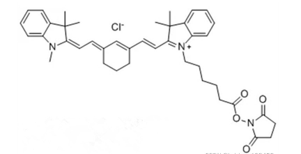 磺基-CY7 马来酰亚胺