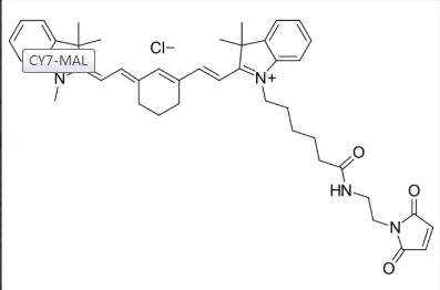 花菁染料CY7标记马来酰亚胺