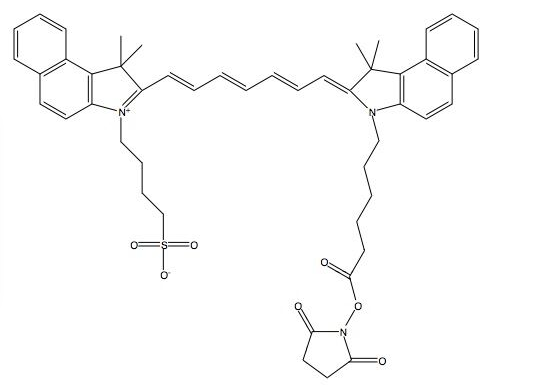 ICG-NHS ester