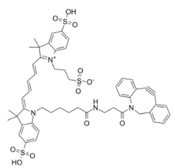 二苯基环辛炔-CY5