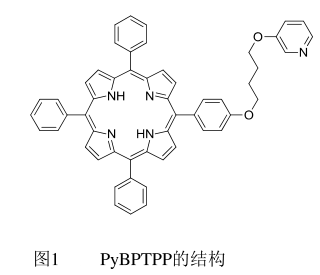 PyBPTPP