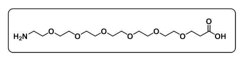 Amino-PEG6-COOH，胺基-六聚乙二醇-丙酸，CAS:905954-28-1