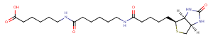 Biotin-C5-amino-C5-amino Chemical Structure