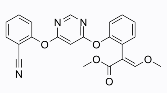 cas:131860-33-8 Azoxystrobin 嘧菌酯 活性氧分子