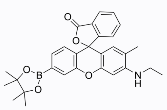 cas:1404091-23-1 NucPE1 活性氧分子