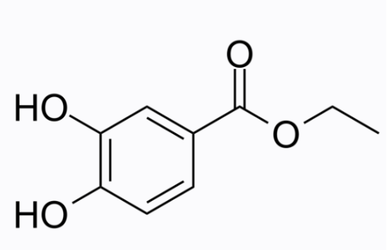cas:3943-89-3 Ethyl 3,4-dihydroxybenzoate 原儿茶酸乙酯 活性氧分子