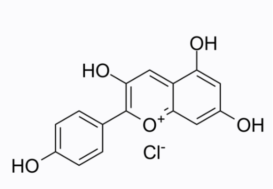 cas:134-04-3 Pelargonidin chloride活性氧抑制剂