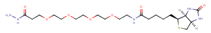 Biotin-PEG4-hydrazide Chemical Structure