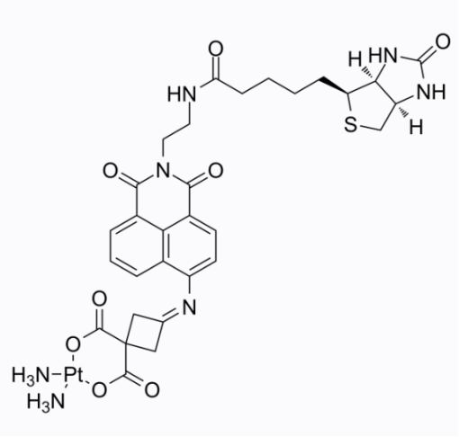 NHEJ inhibitor-1 活性氧
