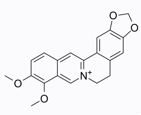 cas:2086-83-1 Berberine黄连素