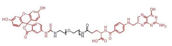 荧光素-聚乙二醇-叶酸FITC-PEG-FA
