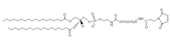 DSPE-PEG-MAL 马来酰亚胺-聚乙二醇-二硬脂酰基磷脂酰乙醇胺