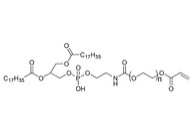 DSPE-PEG-Acrylamide磷脂聚乙二醇丙烯酰胺