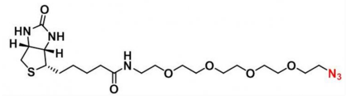 CAS: 1309649-57-7 生物素-四聚乙二醇-叠氮 Biotin-PEG4-azide