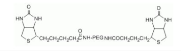 ​Biotin-PEG5k-Biotin 生物素-聚乙二醇-生物素
