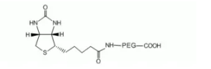 Biotin-PEG-COOH MW：2K  生物素-聚乙二醇-羧基