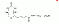 COOH-PEG2000-BIOTIN 生物素-聚乙二醇-羧基