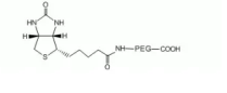 Biotin-PEG-COOH 生物素-聚乙二醇-羧基