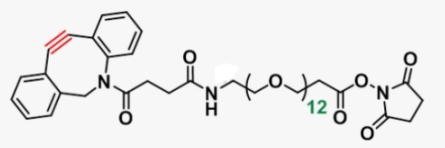 DBCO-PEG12-NHS ester|cas号2093934-94-0|二苯并环辛炔-十二聚乙二醇-琥珀酰亚胺酯