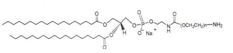DSPE-PEG2K-Amine  磷脂-聚乙二醇2k-氨基 DSPE-PEG2000-NH2