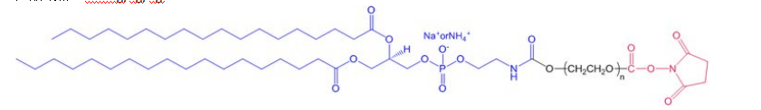 DSPE-PEG3400-NHS 磷脂-聚乙二醇-活性酯