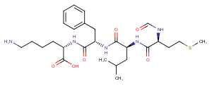 N-Formyl-Met-Leu-Phe-Lys