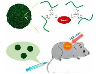 ICG-HES-SS-DOX，荧光染料包载羟乙基淀粉标记阿霉素