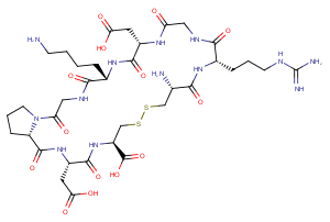 iRGD peptide