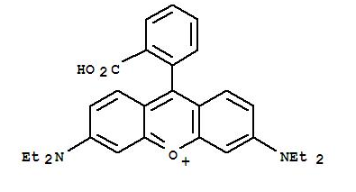 罗丹明B-PAA 荧光标记聚丙烯酸高分子材料