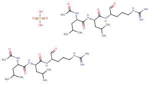 Leupeptin Hemisulfate