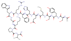 α-MSH