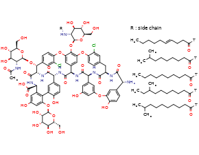 Teicoplanin